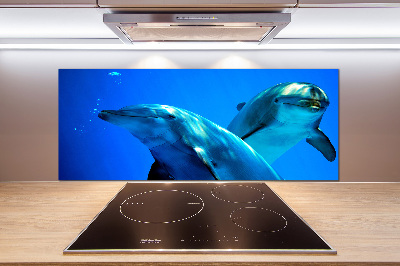 Crédence de cuisine en verre Deux dauphins