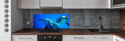 Crédence de cuisine en verre Deux dauphins