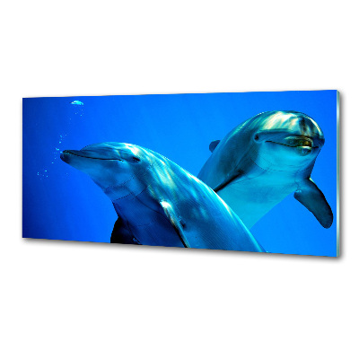 Crédence de cuisine en verre Deux dauphins