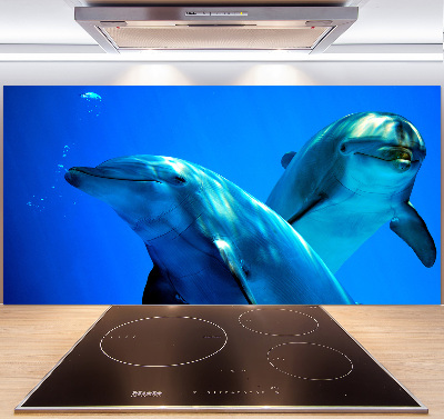 Crédence de cuisine en verre Deux dauphins