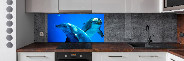 Crédence de cuisine en verre Deux dauphins