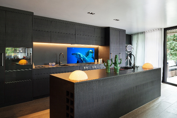 Crédence de cuisine en verre Deux dauphins