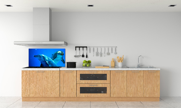 Crédence de cuisine en verre Deux dauphins