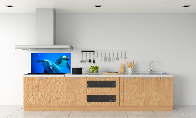 Crédence de cuisine en verre Deux dauphins