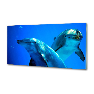 Crédence de cuisine en verre Deux dauphins