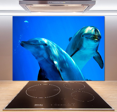 Crédence de cuisine en verre Deux dauphins