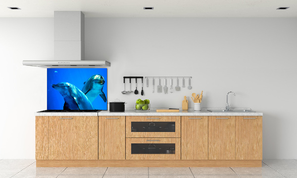 Crédence de cuisine en verre Deux dauphins