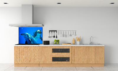 Crédence de cuisine en verre Deux dauphins