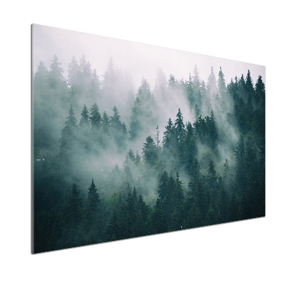 Panneau crédence cuisine Brouillard sur la forêt