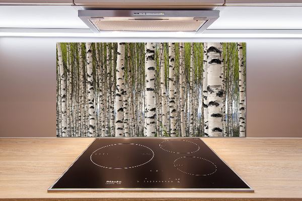 Crédence en verre cuisine Forêt de bouleaux