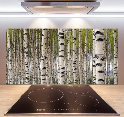 Crédence en verre cuisine Forêt de bouleaux