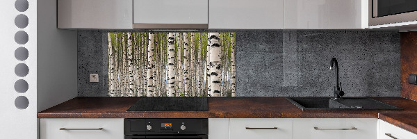 Crédence en verre cuisine Forêt de bouleaux