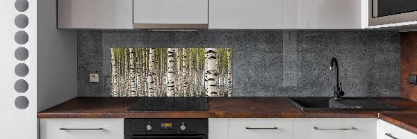 Crédence en verre cuisine Forêt de bouleaux