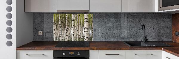 Crédence en verre cuisine Forêt de bouleaux