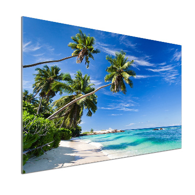 Crédence en verre trempé Plage tropicale