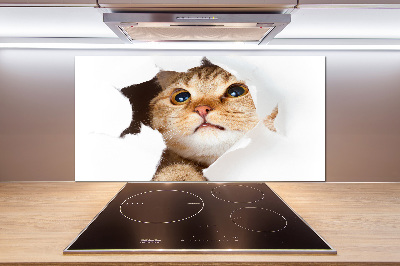 Crédence en verre cuisine Chat dans un trou