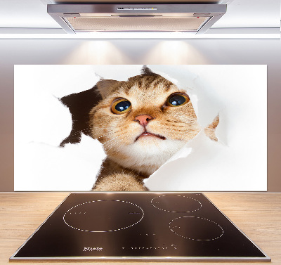 Crédence en verre cuisine Chat dans un trou