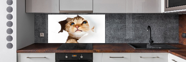 Crédence en verre cuisine Chat dans un trou