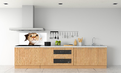 Crédence en verre cuisine Chat dans un trou