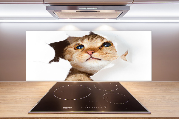 Crédence en verre cuisine Chat dans un trou