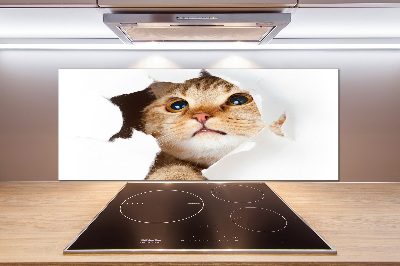 Crédence en verre cuisine Chat dans un trou