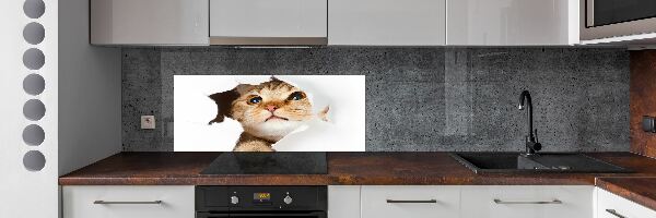 Crédence en verre cuisine Chat dans un trou