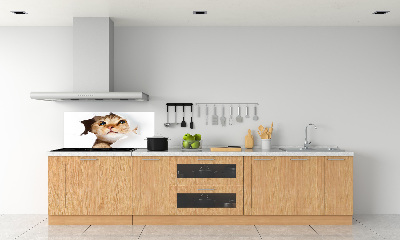 Crédence en verre cuisine Chat dans un trou