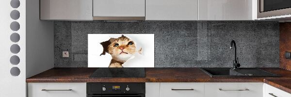 Crédence en verre cuisine Chat dans un trou
