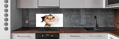 Crédence en verre cuisine Chat dans un trou