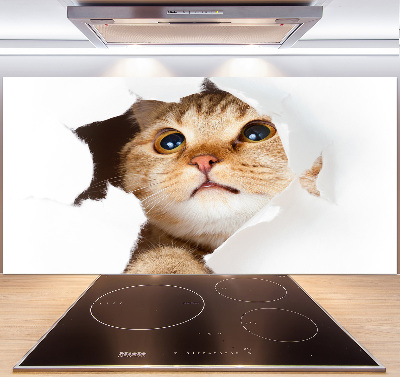 Crédence en verre cuisine Chat dans un trou