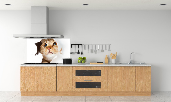 Crédence en verre cuisine Chat dans un trou