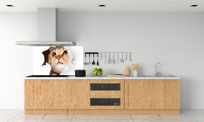 Crédence en verre cuisine Chat dans un trou