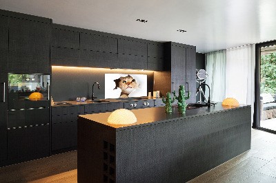 Crédence en verre cuisine Chat dans un trou