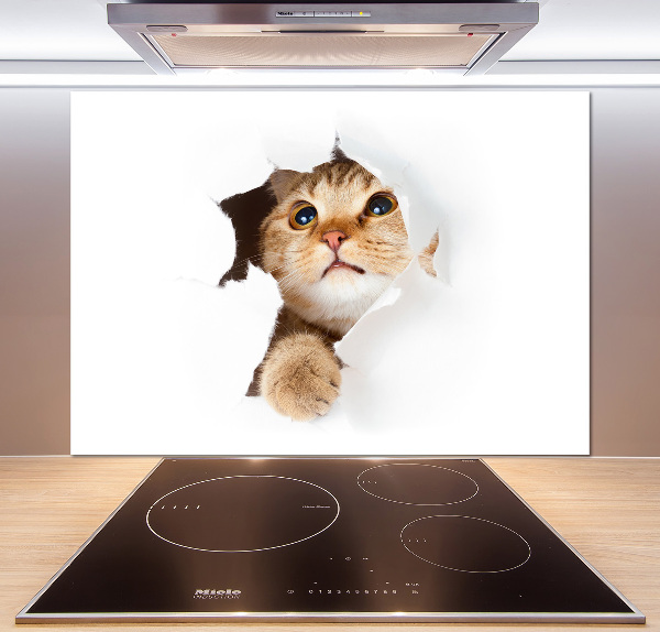 Crédence en verre cuisine Chat dans un trou
