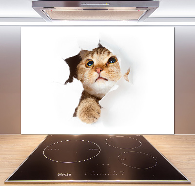 Crédence en verre cuisine Chat dans un trou
