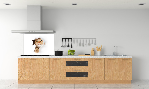Crédence en verre cuisine Chat dans un trou