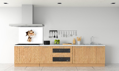 Crédence en verre cuisine Chat dans un trou