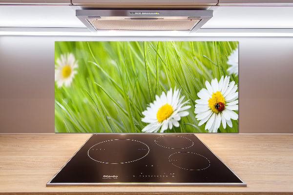 Crédence en verre avec motif Marguerites fleurs