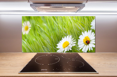 Crédence en verre avec motif Marguerites fleurs