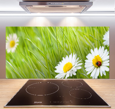 Crédence en verre avec motif Marguerites fleurs