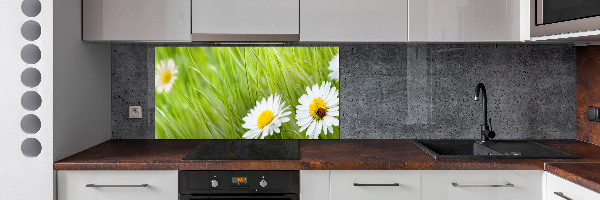 Crédence en verre avec motif Marguerites fleurs