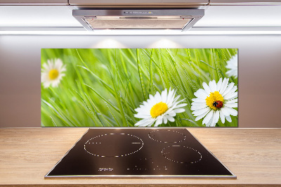 Crédence en verre avec motif Marguerites fleurs