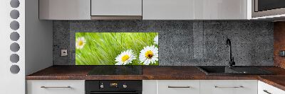 Crédence en verre avec motif Marguerites fleurs