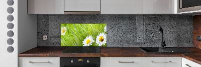 Crédence en verre avec motif Marguerites fleurs
