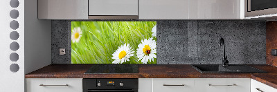 Crédence en verre avec motif Marguerites fleurs
