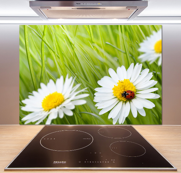Crédence en verre avec motif Marguerites fleurs