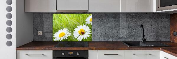 Crédence en verre avec motif Marguerites fleurs