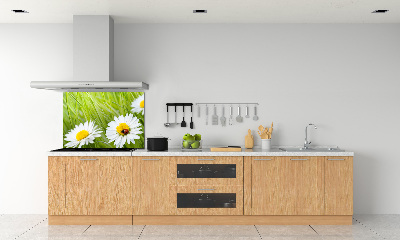 Crédence en verre avec motif Marguerites fleurs