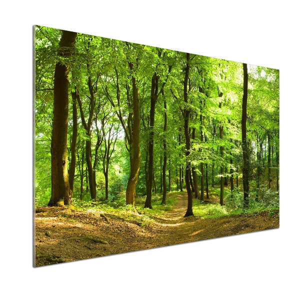 Verre pour crédence Sentier forestier