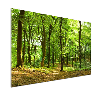 Verre pour crédence Sentier forestier